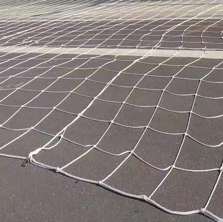 電力跨越網(wǎng)