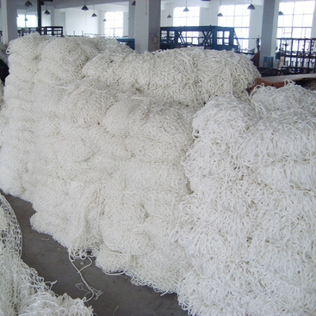 帶電跨越網(wǎng)